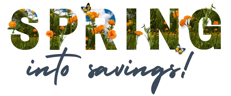 MBA Spring into savings
